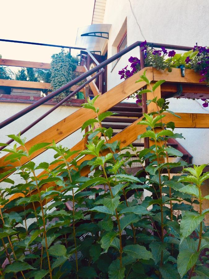 Ferienwohnung Apartament Delux Z Tarasem Sierpc Exterior foto